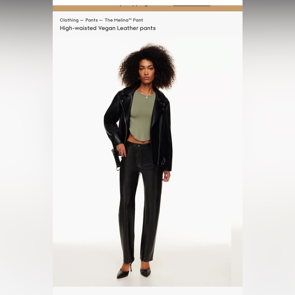 Aritzia Melina Pant